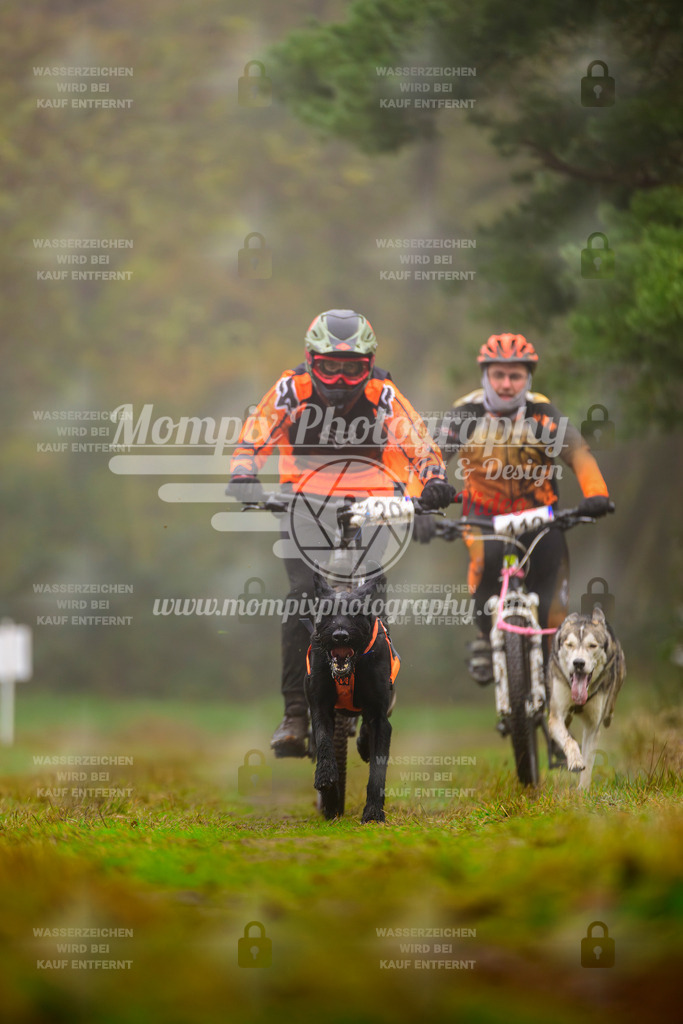 MompixPhotography_Bischwiller2025_Bike-37 | mompixphotography