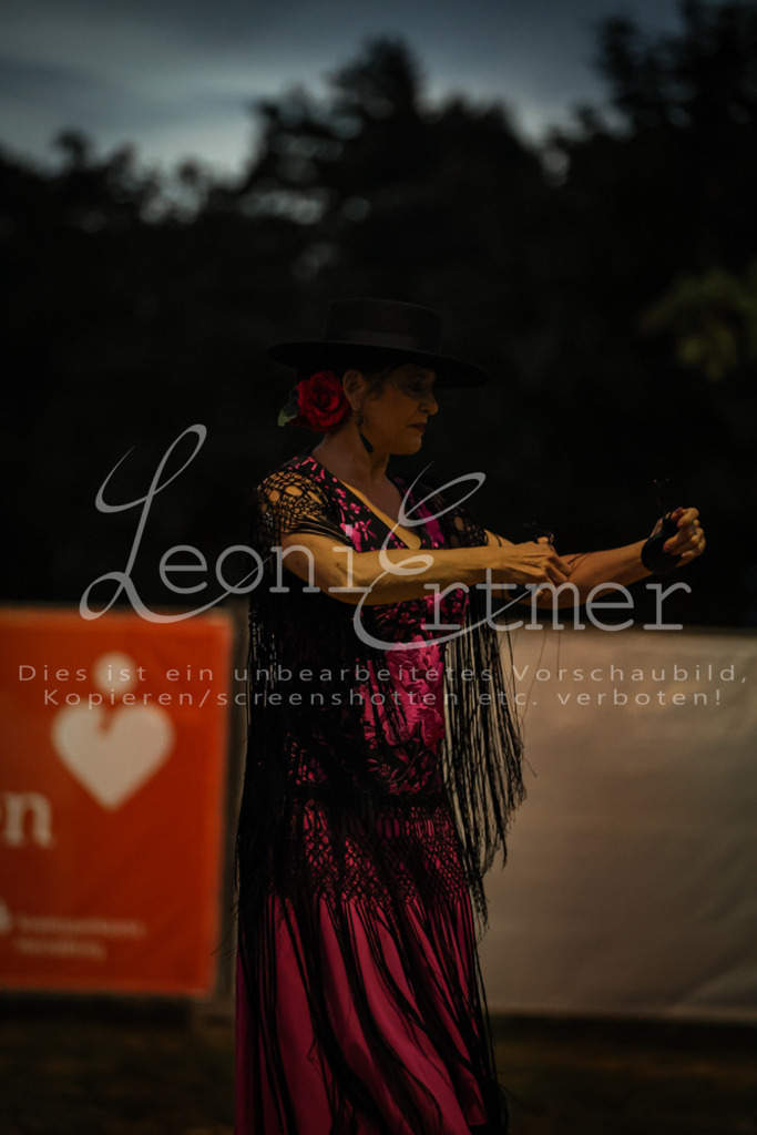 SaShow00254 | Leoni Ertmer Photography - Realisiert mit Pictrs.com