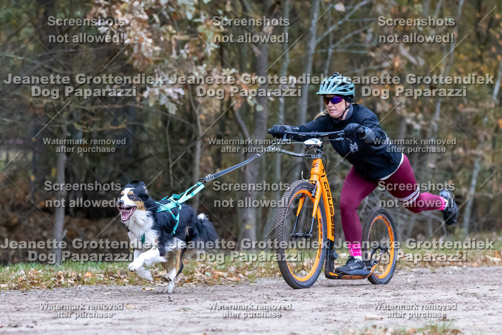 Dog Paparazzi - SD CaniX Championship 2025-185 | Dog Paparazzi Jeanette Grottendiek Fotografie & Videografie - Realisiert mit Pictrs.com