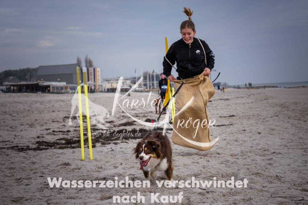 1301_ZZ97786 | kk-dogfotos