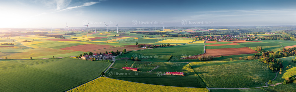 Straußenfarm bei Böhmenkirch | löwenblicke | shop