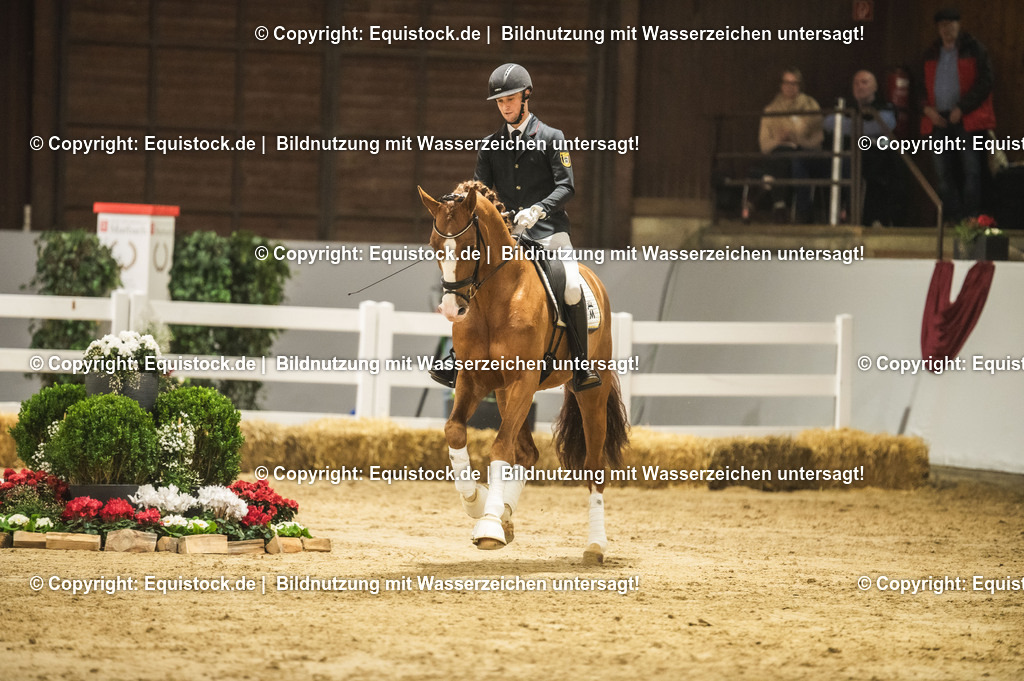20240302_Hengstvorstellung_Marbach_TOMsPiC_0542 | equistock