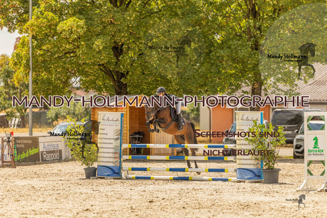 26-7-23 SPR A++-404 | mandyhollmannphotographie