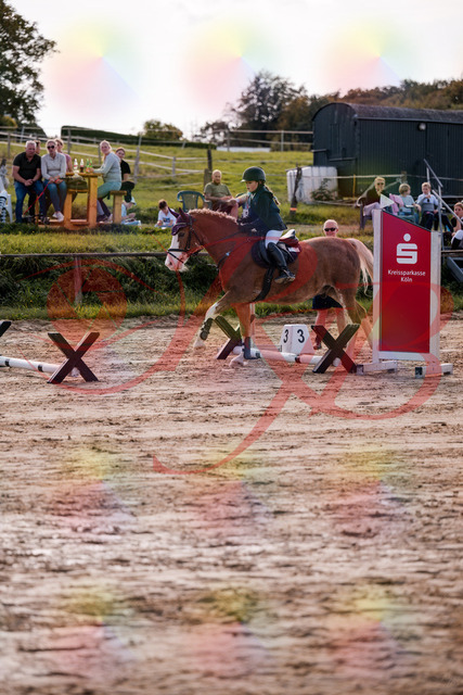 2026_10_03_Siefer-Hof_144453_Z81_19244001 | Professionelle Reitsport-, Turnier- und Eventfotografie von Robert Broda. Galerien mit ausgewählten und bearbeiteten Bildern direkt online ansehen und bestellen.