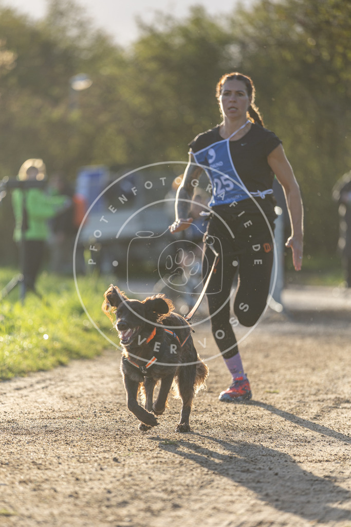 Pfotenfotografie.de_DV3A2973 | Hundefotografie, Tierfotograf, Pfotenfotografie, Fotoshooting Hund, Hunde Portrait, Hundesport, Hundeportraits, Heideshooting, Hunde, Sportfotograf, Hundefotograf, Turnierhundsport, THS, canicross - Realisiert mit Pictrs.com