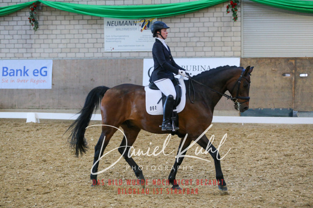 IMG_2873 | Turnierfotos kaufen im Webshop von Daniel Kuhl Photography – entdecke professionelle Reitsportfotos aus Turnieren & Events. Hochwertige Turnierbilder online bestellen & sichern. Jetzt Fotos von Reitsportturnieren kaufen!