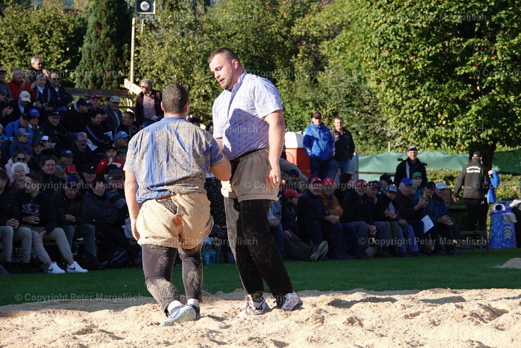 DSC01938 | Schwingen - Realisiert mit Pictrs.com