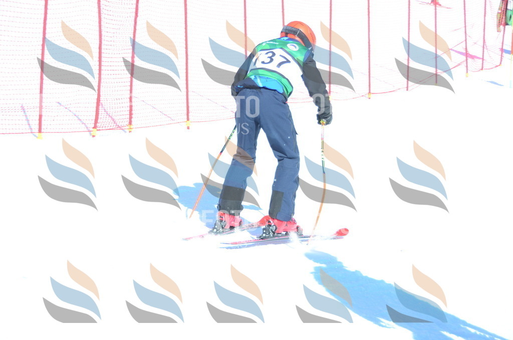 C6016 | holidayphoto