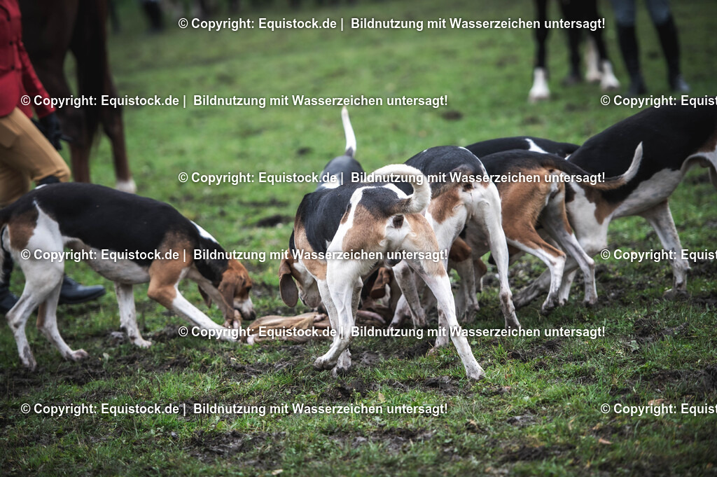 20241013_Jagd-Marbach_0515 | Foto: Thomas Hartig