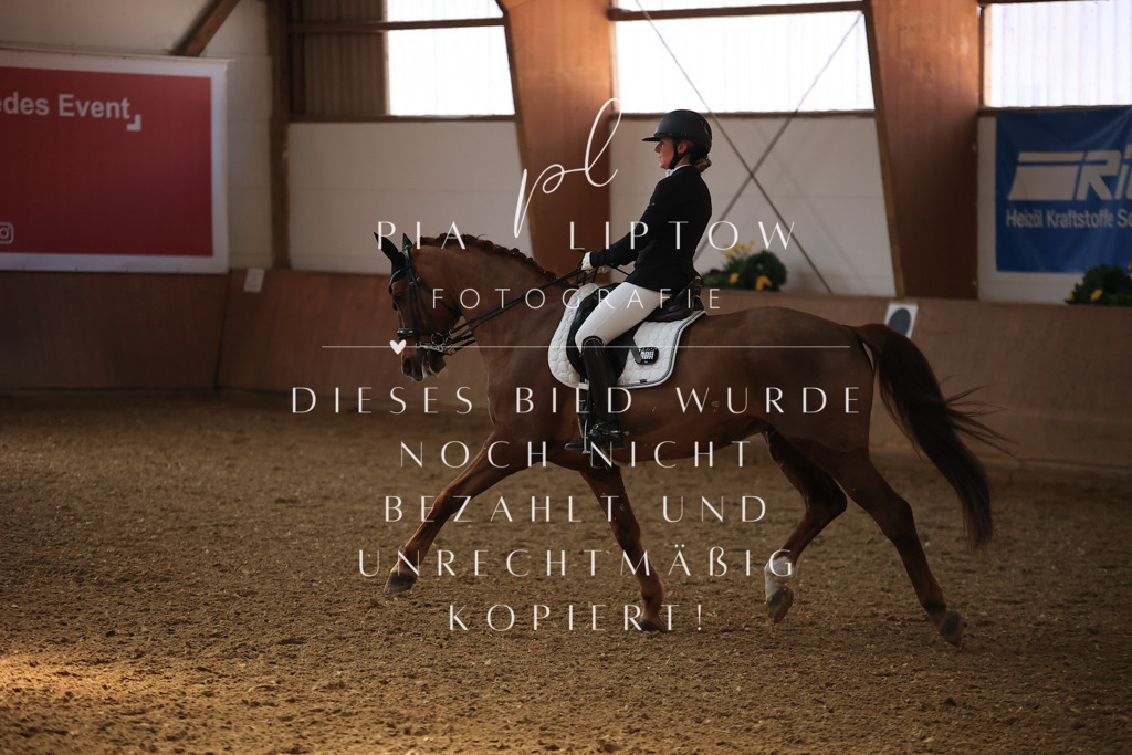 IMGT3389 | pl-fotografie