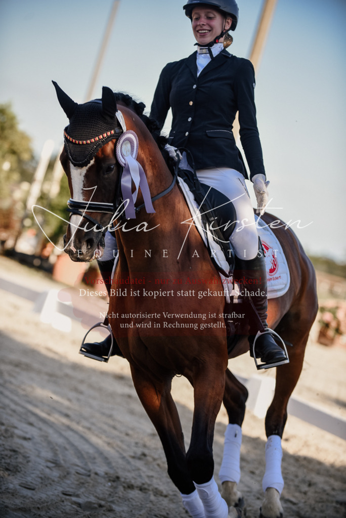 DSC_0748 | Pferde- und Turnierfotografie in Westsachsen. Pferdeportraits, Auftragszeichnungen und intuitive Kunst.