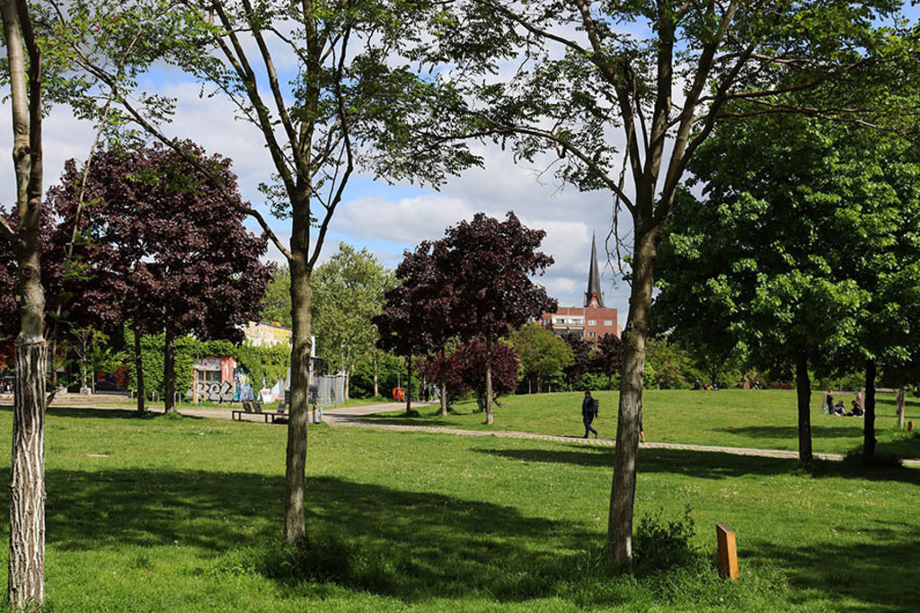 Rabet - Stadtteilpark | Entdecke über 20 Kategorien Leipzig-Motive: Foto-Downloads, hochwertige Poster, Leinwand- & Fine-Art-Prints. Jetzt Lieblingsfoto im Bildlexikon Leipzig Shop bestellen!