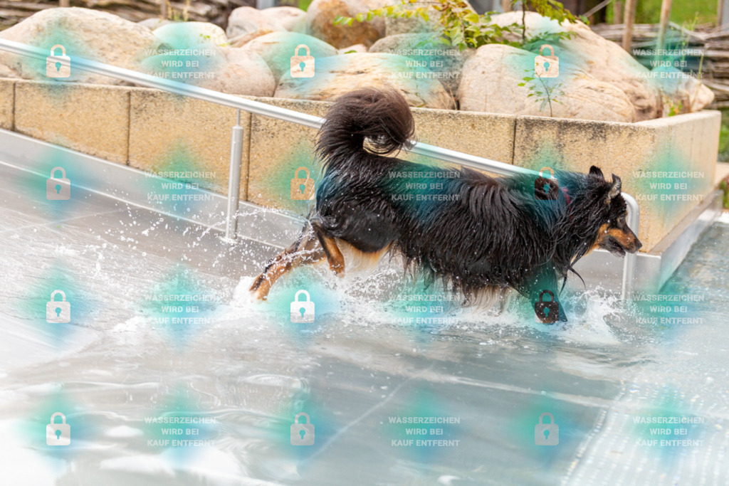 _HP_6189_1000o | HetPix, HetPix Fotodesign, Fotografie, Fotodesign, Webshop, Sportfotografie, Portraitfotografie, Onlineshop, Sportfotografie, Polch, Motorsportfotografie, Eventfotografie