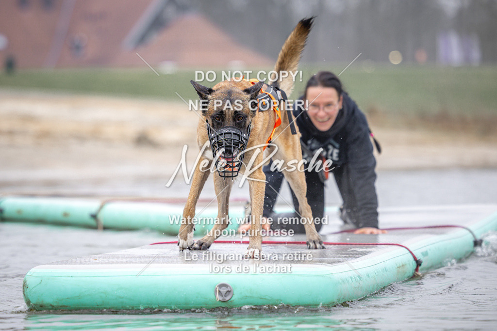 nelerasche_Hulsbeek_Sa0845-1030_391 | nelerasche