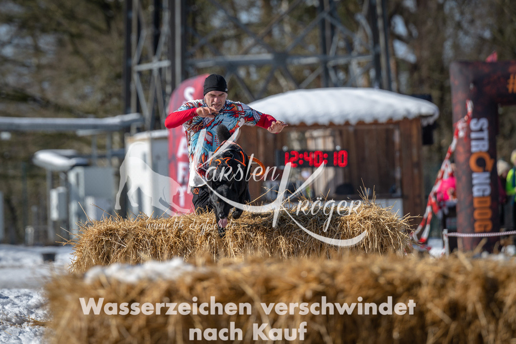 1240_ZZ92731-3 | kk-dogfotos