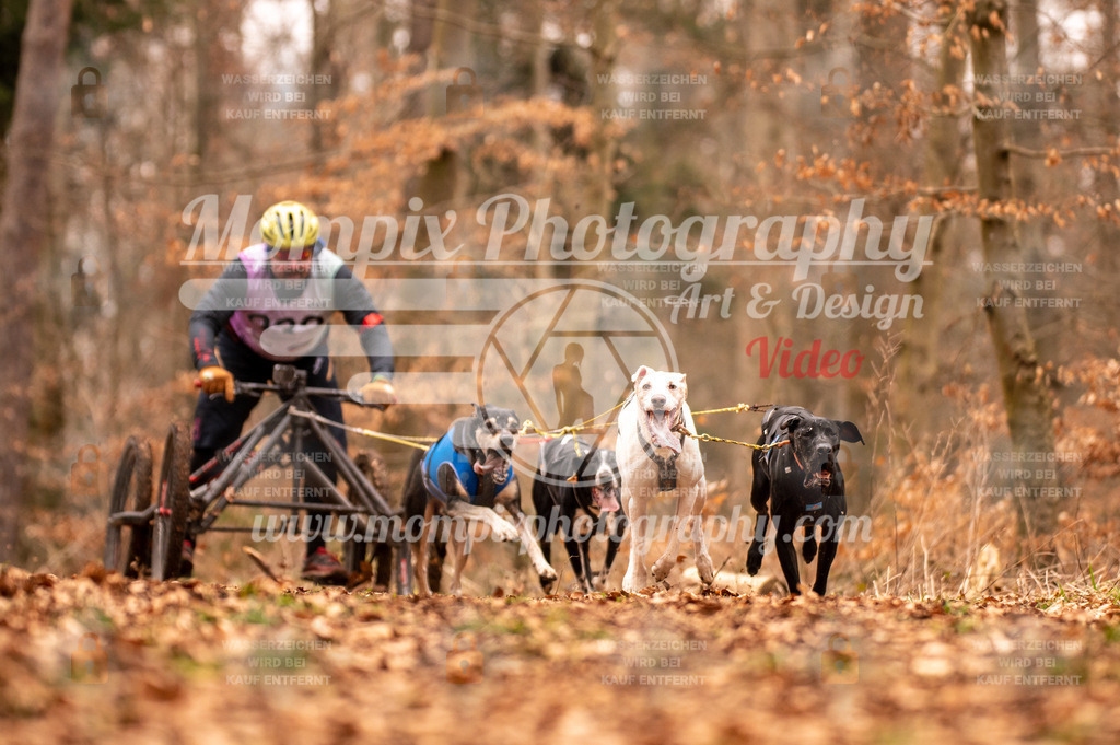 AKM_ST_2023_SAM_DR4-4 | PayLife