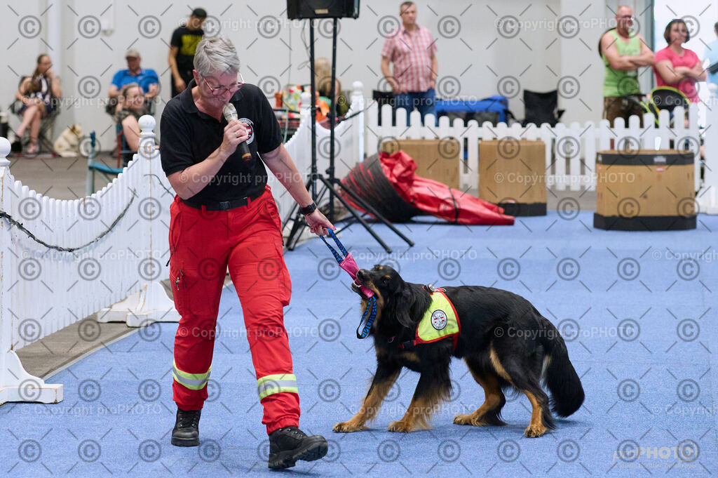 202406_ÖKV-IHA-Tulln24_DSC_3474 | proPHOTO - Realisiert mit Pictrs.com