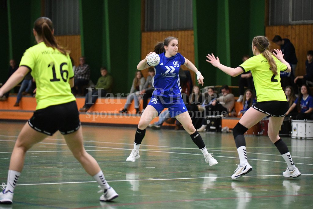 SSG Metten Damen : HSG Straubing | Anna-Maria Erl (SSG Metten Damen #95) - Realisiert mit Pictrs.com