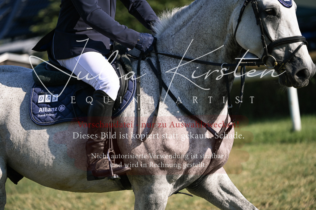 DSC_1710 | Pferde- und Turnierfotografie in Westsachsen. Pferdeportraits, Auftragszeichnungen und intuitive Kunst.