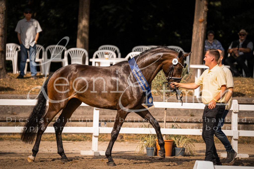 FrER00260 | Leoni Ertmer Photography - Realisiert mit Pictrs.com