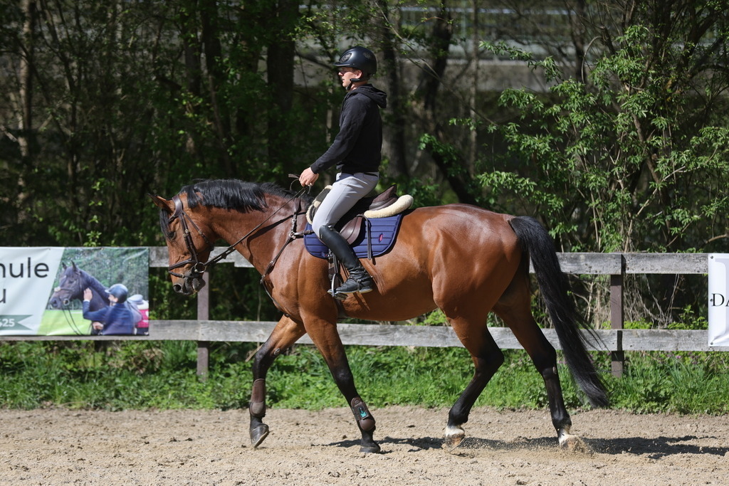 0P6A8099 | Willkommen bei Brunnmayr - Design & Fotografie – Ihrem Spezialisten für Reitturniere und Pferdeveranstaltungen in Oberösterreich, Salzburg und Bayern! Seit über 17 Jahren sind wir leidenschaftlich dabei.
