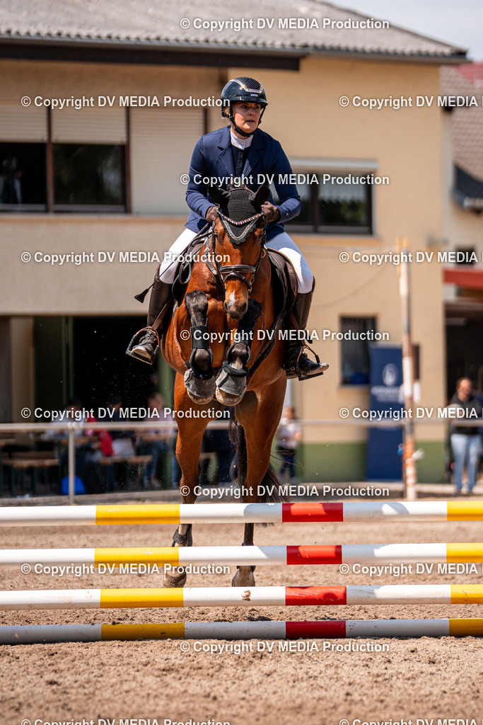 Eppelheim Tag 3-391 | dv-media-shop - Realisiert mit Pictrs.com