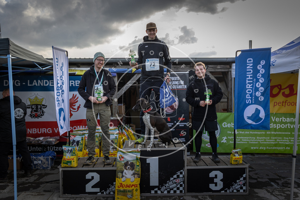 0L8A9172 | Hundefotografie, Tierfotograf, Pfotenfotografie, Fotoshooting Hund, Hunde Portrait, Hundesport, Hundeportraits, Heideshooting, Hunde, Sportfotograf, Hundefotograf, Turnierhundsport, THS,  - Realisiert mit Pictrs.com