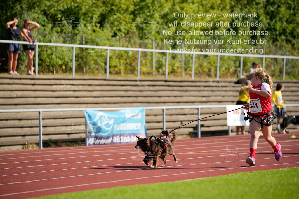 Sonntag_Staffel (6 von 336) | stephaniefillaphotographie - Realisiert mit Pictrs.com