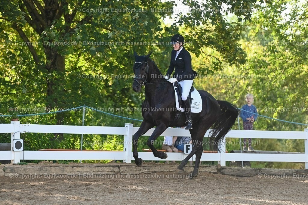 20230715_06_Dressurpferdeprfg. Kl.A_0018 | equistock