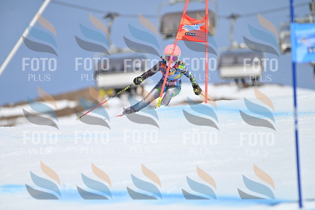 BGV_0387 | holidayphoto