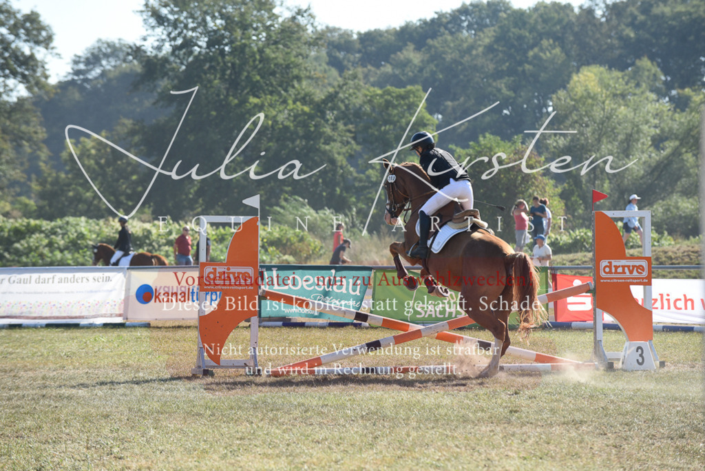 DSC_5959 | Pferde- und Turnierfotografie in Westsachsen. Pferdeportraits, Auftragszeichnungen und intuitive Kunst.
