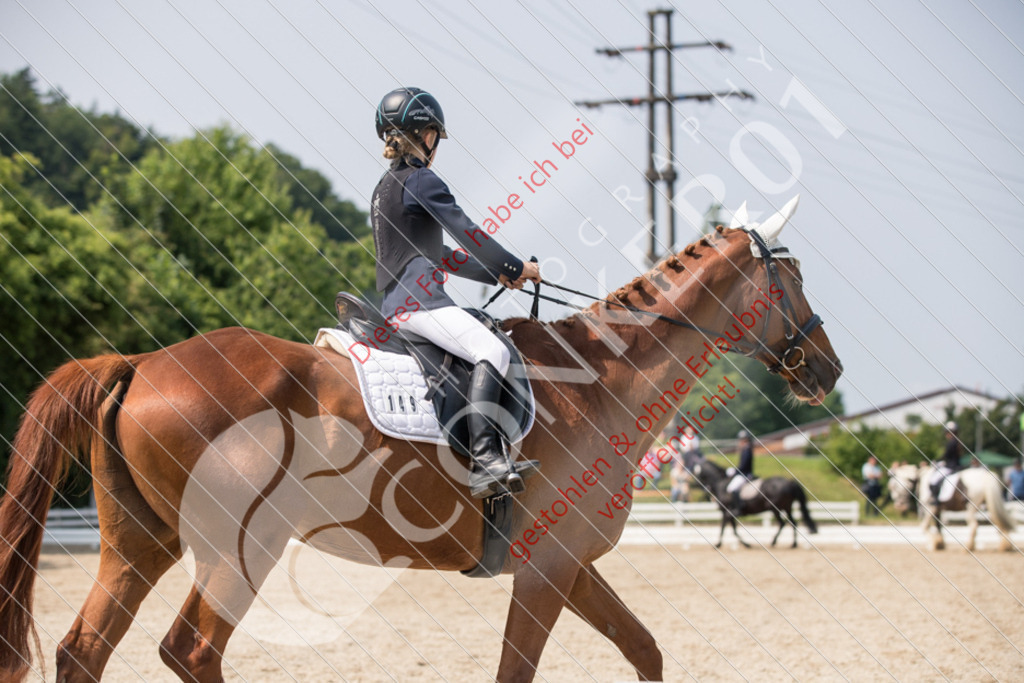 IMG_3393 | Sport-, Event- und Tierfotos in Profiqualität. Einfach auswählen, bestellen und herunterladen. Dein Moment – perfekt festgehalten.