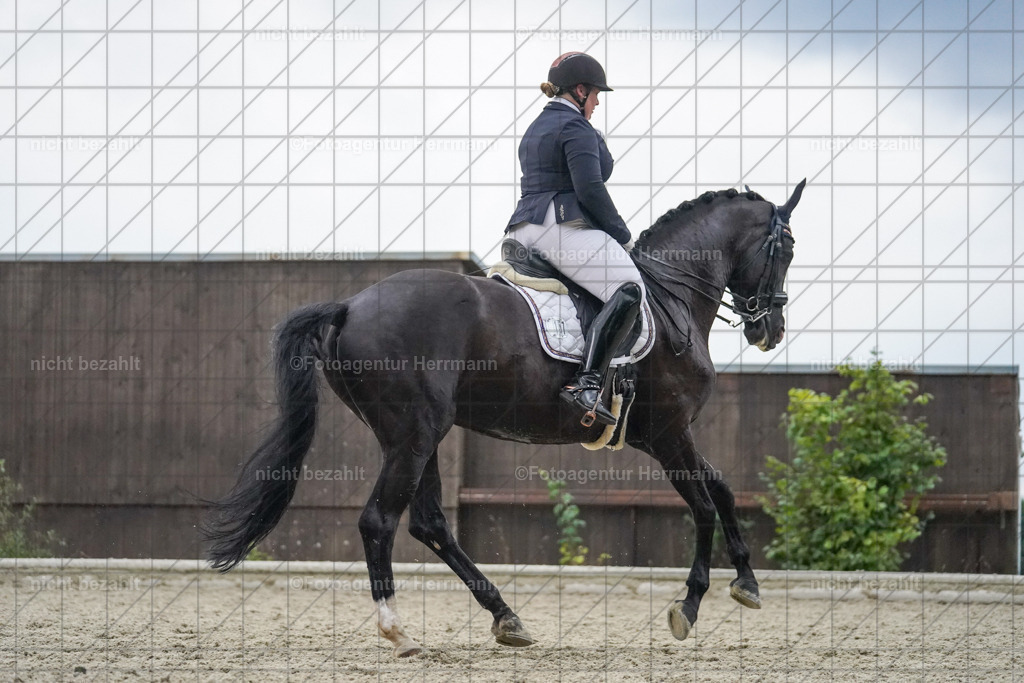 20230826-FAH06376 | Forstinning, 2023, Dressurturnier, Turniersportbilder, Turnierfotografen Bayern, Fotoagentur Herrmann, Reitsportfotografie, Turnierbilder