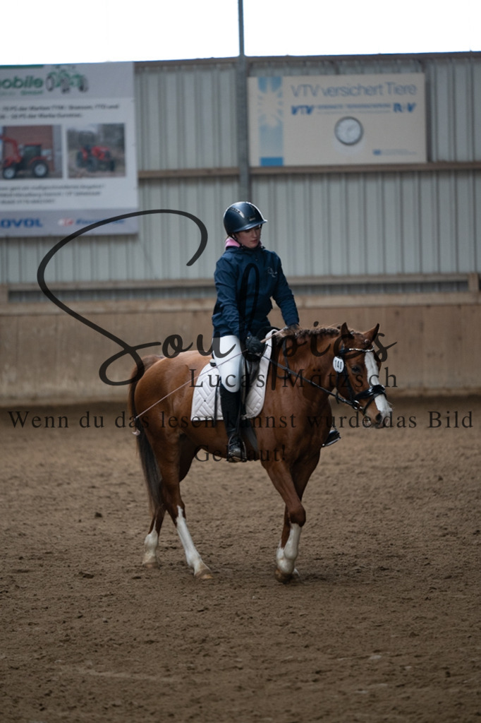 A7V04726 | Pferdefotograf