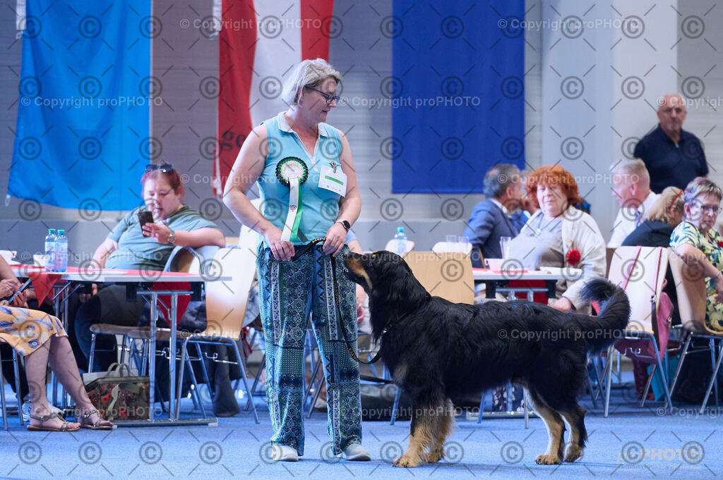 202406_ÖKV-IHA-Tulln24_DSC_3839 | proPHOTO - Realisiert mit Pictrs.com