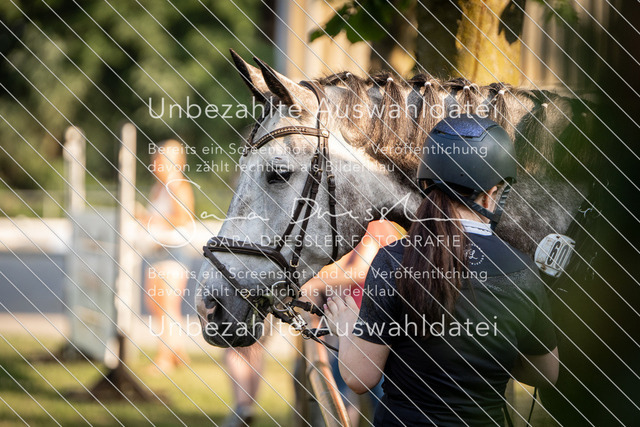 SD_Verl_04853 | saradresslerfotografie - Realisiert mit Pictrs.com