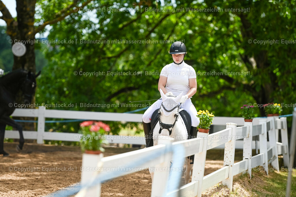 20230715_05_Dressurprüfung Kl.A++_0283 | equistock