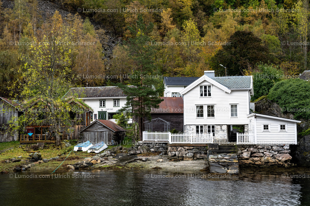 10047-10038 - Am Geirangerfjord - Norwegen | Stockfoto und Bilderpool mit Bildmaterial aus Deutschland, dem Harz, Halberstadt, Quedlinburg, Wernigerode und weltweit. Qualitativ hochwertige und professionelle Fotos anschauen und kaufen. - Realisiert mit Pictrs.com