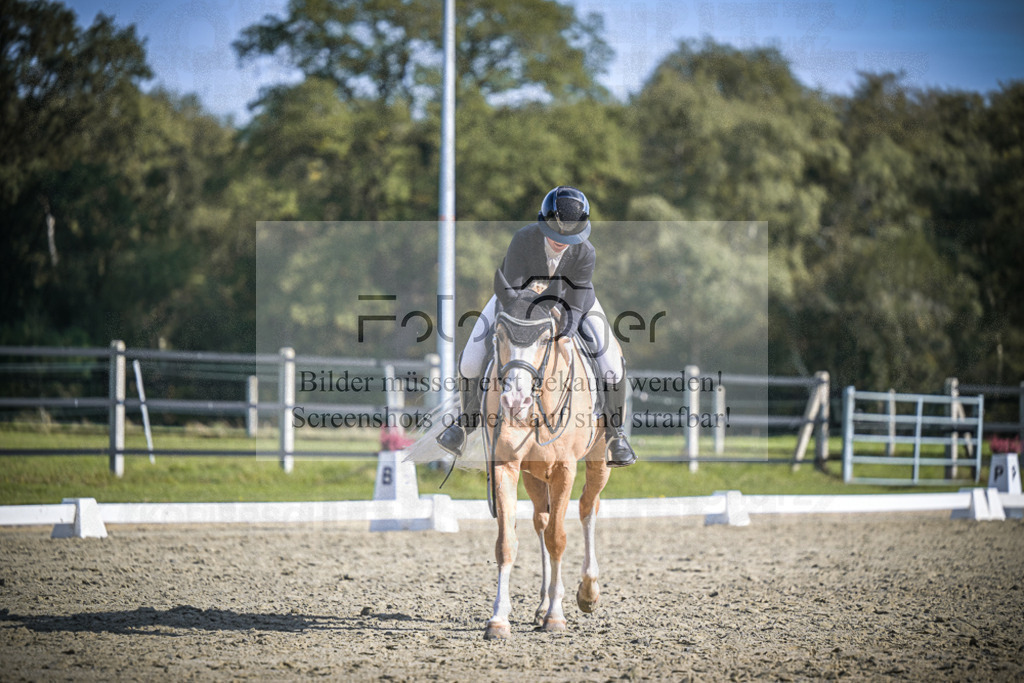 DOS_2293 | Entdecke hochwertige Reitturnierfotos von Foto Oger. Professionell, emotional und authentisch – jetzt Lieblingsmomente im Shop bestellen.Deutschlandweite Turnierfotografie. - Realisiert mit Pictrs.com
