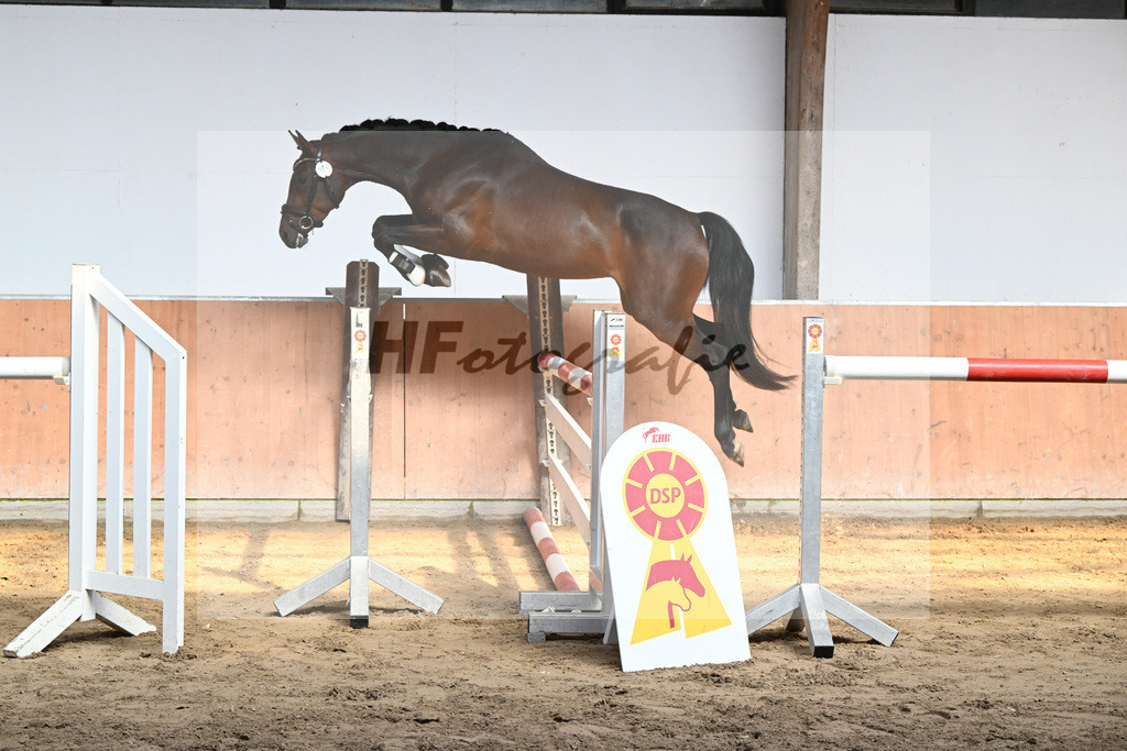 Kat-Nr. 8 Bahama Mama_ZG Sautter_36230039 | hf-fotografie - Realisiert mit Pictrs.com