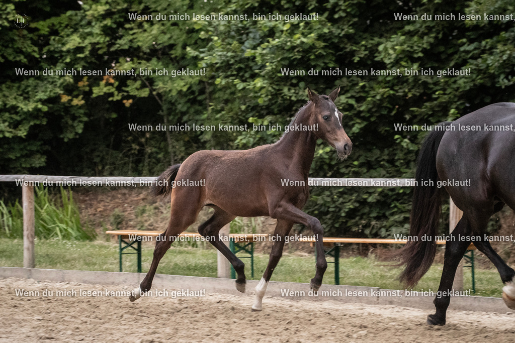 A10I7430 | photographylinaismer - Realisiert mit Pictrs.com