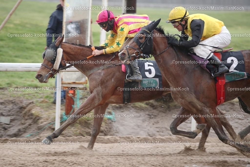 Do04022406001 | Ciyounesse siegt unter Thore Hammer-Hansen am 04.02.2024 Renntag in Dortmund. Copyright by Marc Ruehl - Veroeffentlichung nur gegen Honorar (zzgl.MwSt), Namensnennung und Beleg, Bank Routing Number: BIC GENODED1PAF, Bank Account Number: IBAN DE04 3706 2600 1201 6180 17, Steuer-Nr.: 203/5266/0306, Ust_Id_Nr.: De 122081417, Zur Gaulshuette 29, 50181 Bedburg, Phone: +49-(0)2272-83351, www.marcruehl.com, info@marcruehl.com, No Model Release, Abtretung von Persoenlichkeitsrechten der abgebildeten Person/Personen liegen nicht vor. Speichern in Bilddatenbanken oder Vervielfaeltigung ist ohne schriftliche Genehmigung nicht gestattet.