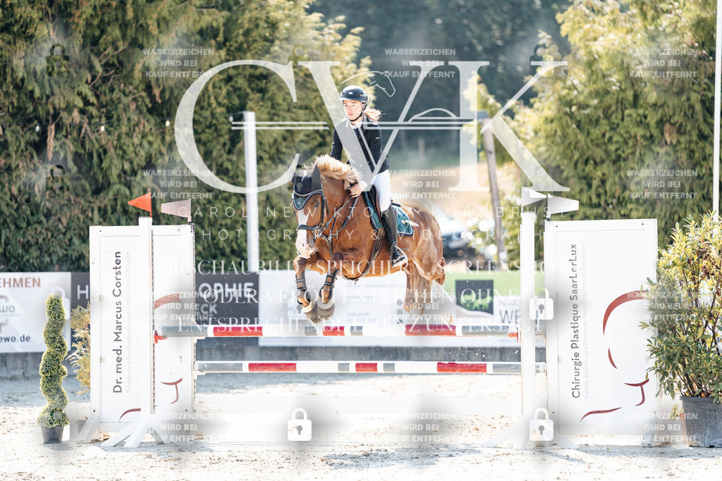 CK908231 | Turnierfotografie Pferdefotografie Trier Rheinland-Pfalz Pferdesport Reitsport Tierfotografie Sportfotografie Pferdevideo Pferdevideografie Equestrianvideography equestrianphotography  - Realisiert mit Pictrs.com