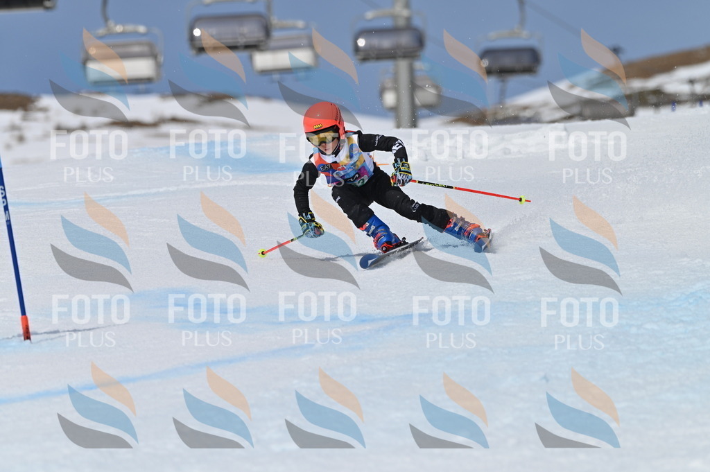 BGV_7167 | holidayphoto