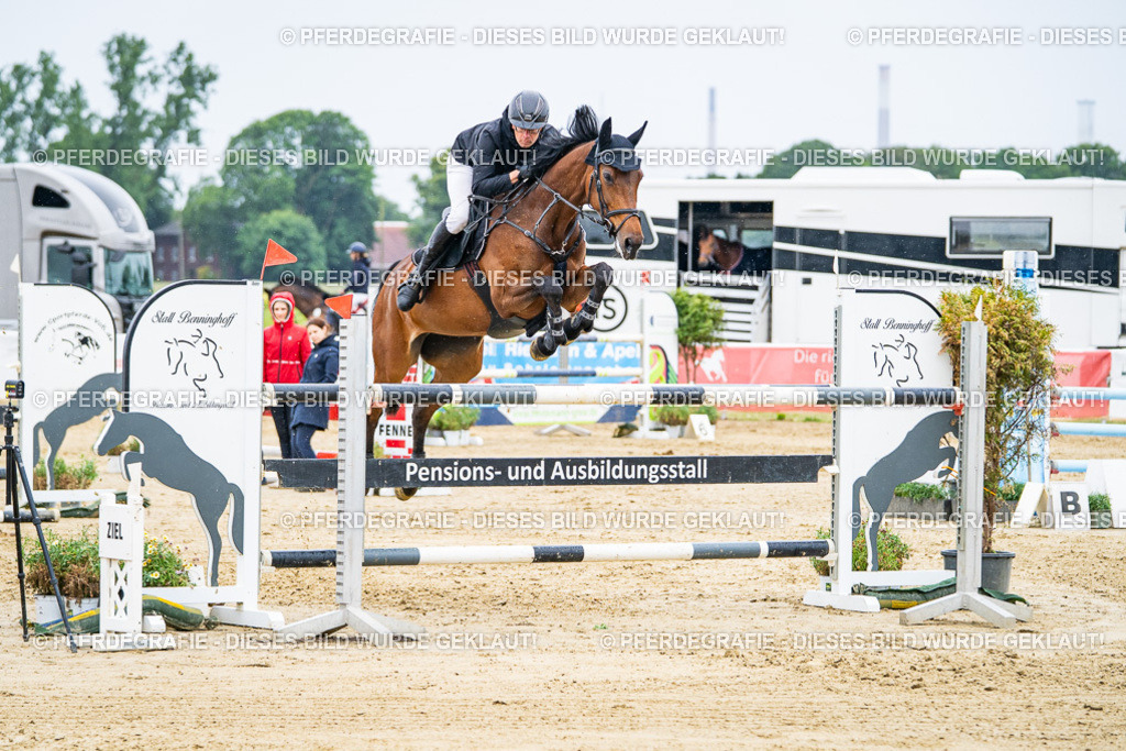 DSC08225 | Pferdegrafie