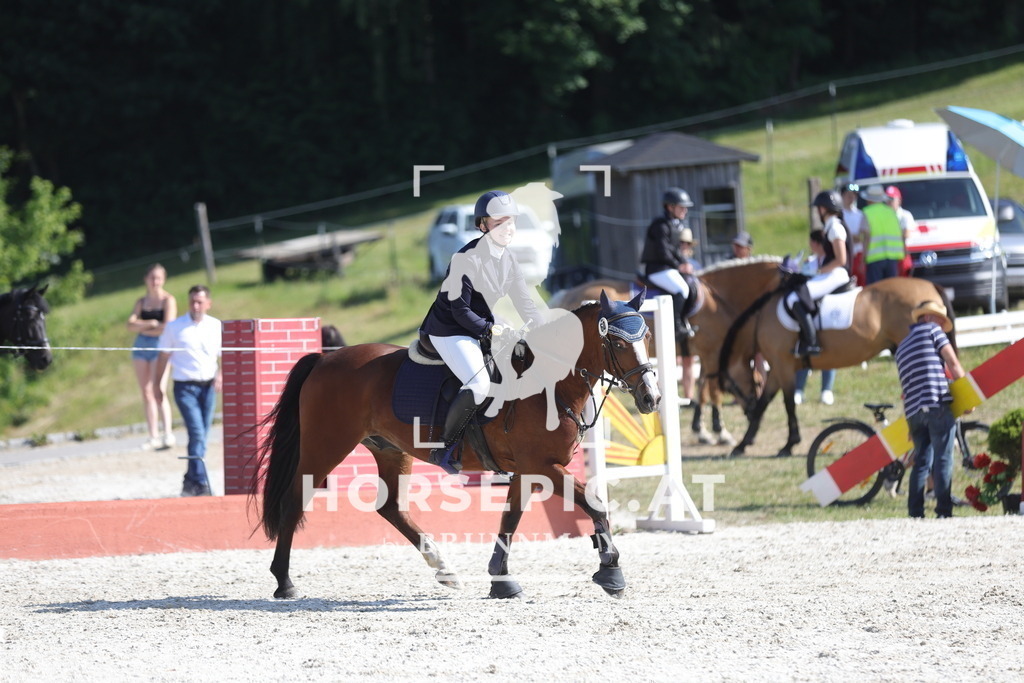 0P6A7565 | Willkommen bei Brunnmayr - Design & Fotografie – Ihrem Spezialisten für Reitturniere und Pferdeveranstaltungen in Oberösterreich, Salzburg und Bayern! Seit über 17 Jahren sind wir leidenschaftlich dabei.