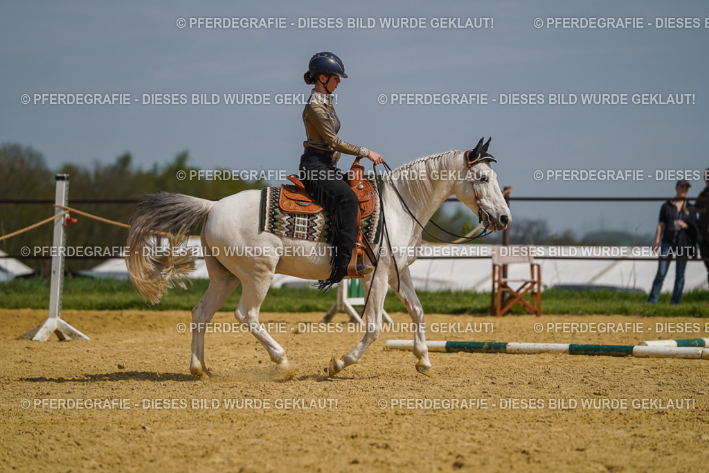 DSC04705 | Pferdegrafie