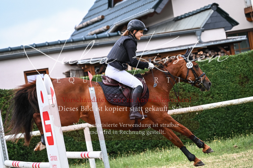DSC_8204 | Pferde- und Turnierfotografie in Westsachsen. Pferdeportraits, Auftragszeichnungen und intuitive Kunst.