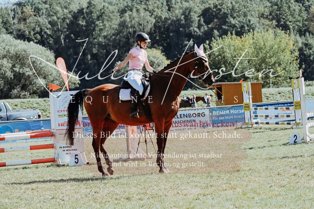 DSC_6536 | Pferde- und Turnierfotografie in Westsachsen. Pferdeportraits, Auftragszeichnungen und intuitive Kunst.