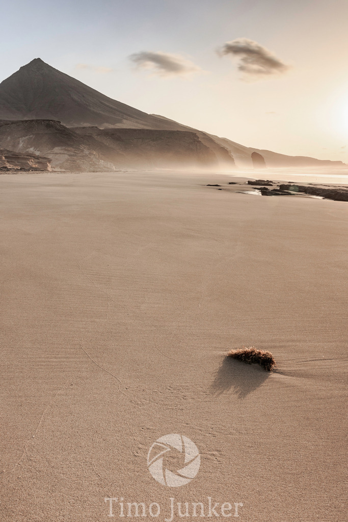 Shop_Landscapes-1785 | junker-foto - Realisiert mit Pictrs.com